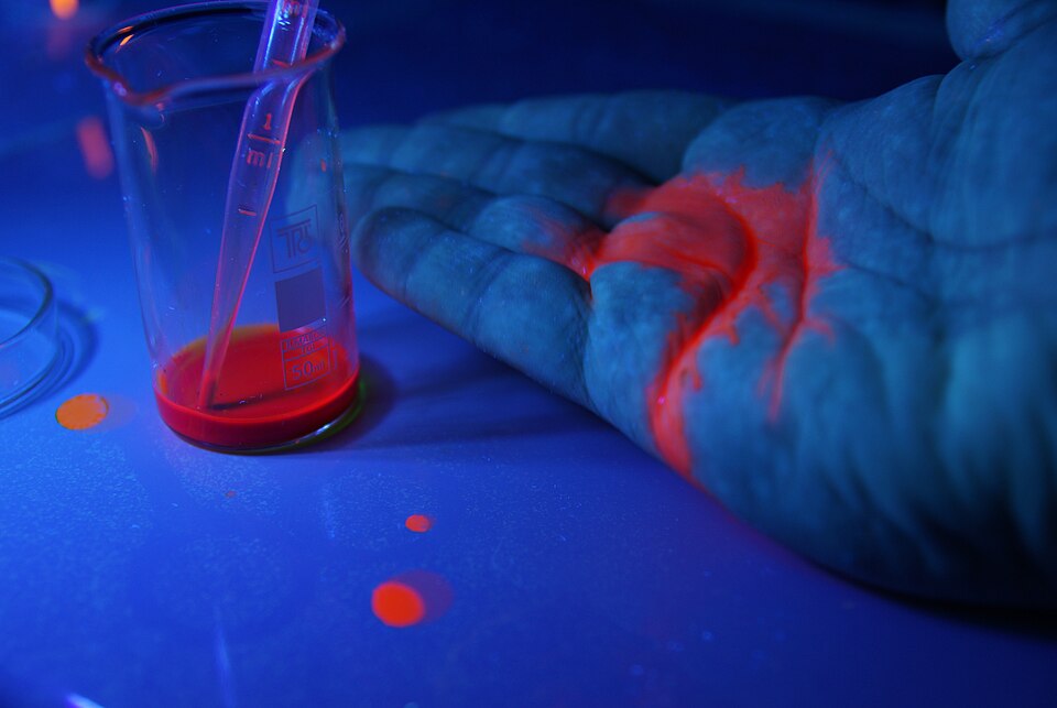 Fluorescence emission spectra of BSA and lysozyme