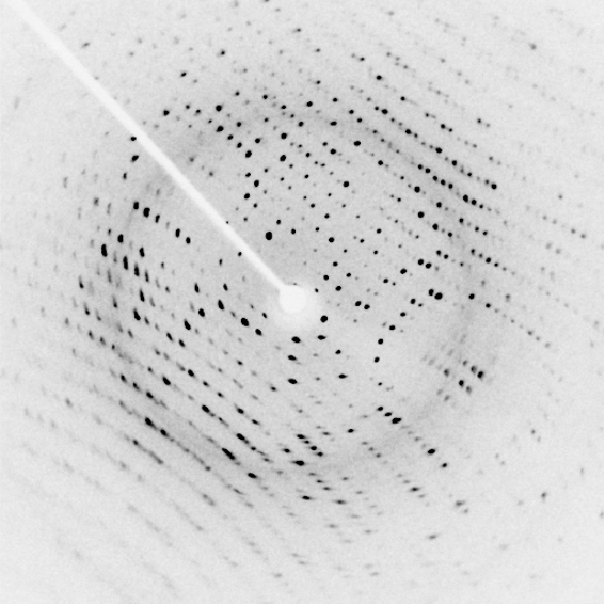 Laue diffraction pattern grid