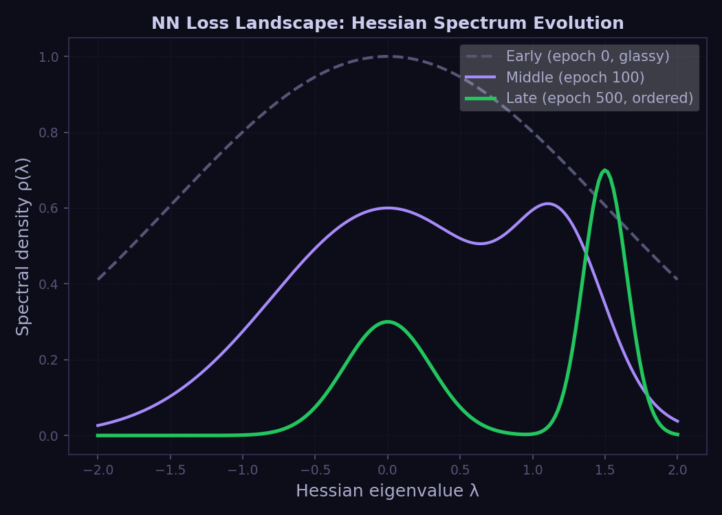 Hessian eigenvalue spectrum evolution during neural network training